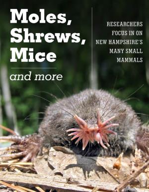Moles, Shrews, Mice and More
