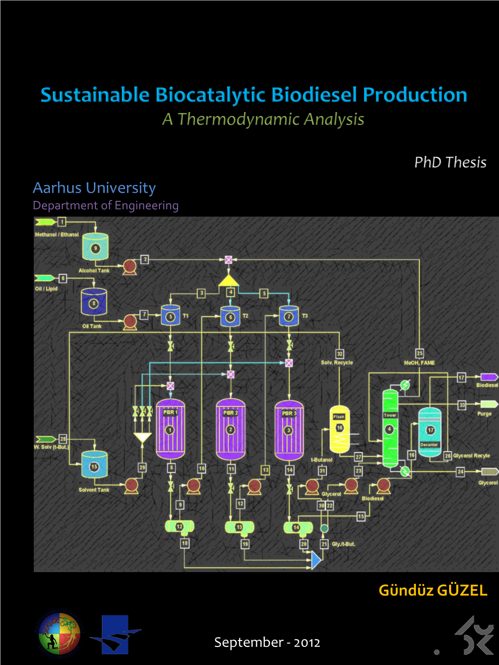 Sustainable Biocatalytic Biodiesel Production a Thermodynamic Analysis
