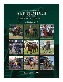 Graded Stakes Winners Sold 2012–2016 2017 Stakes Winners Through Sept