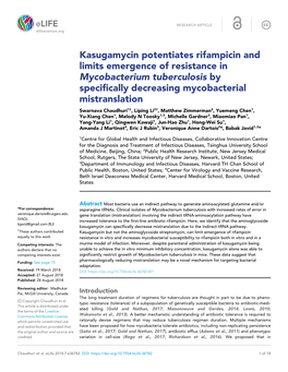 Kasugamycin Potentiates Rifampicin and Limits Emergence of Resistance