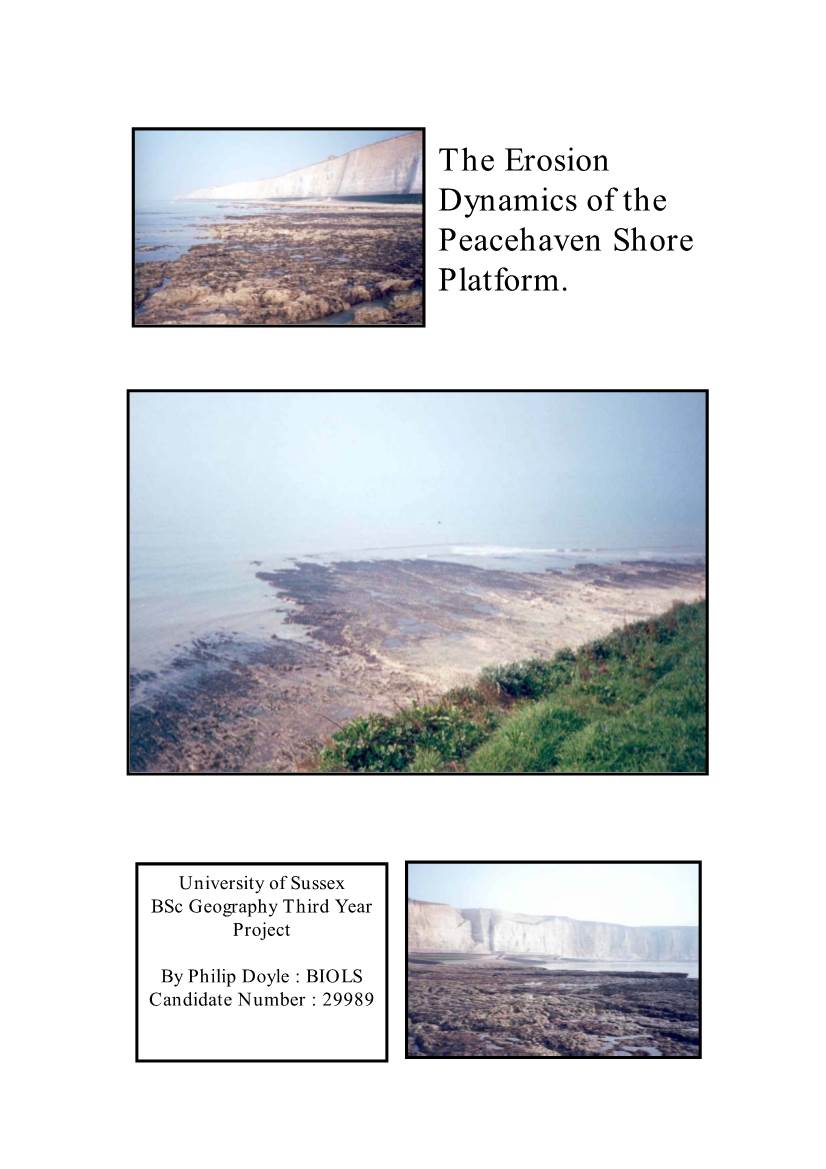 The Erosion Dynamics of the Peacehaven Shore Platform