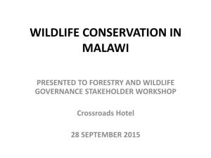 Wildlife Conservation in Malawi