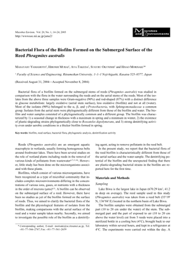 Bacterial Flora of the Biofilm Formed on the Submerged Surface of the Reed Phragmites Australis