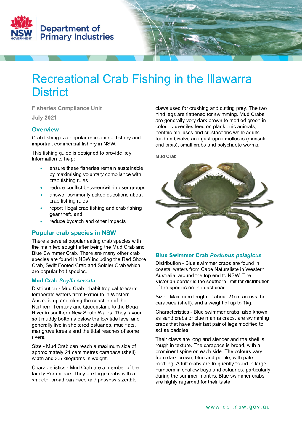 Recreational Crab Fishing in Illawarra District