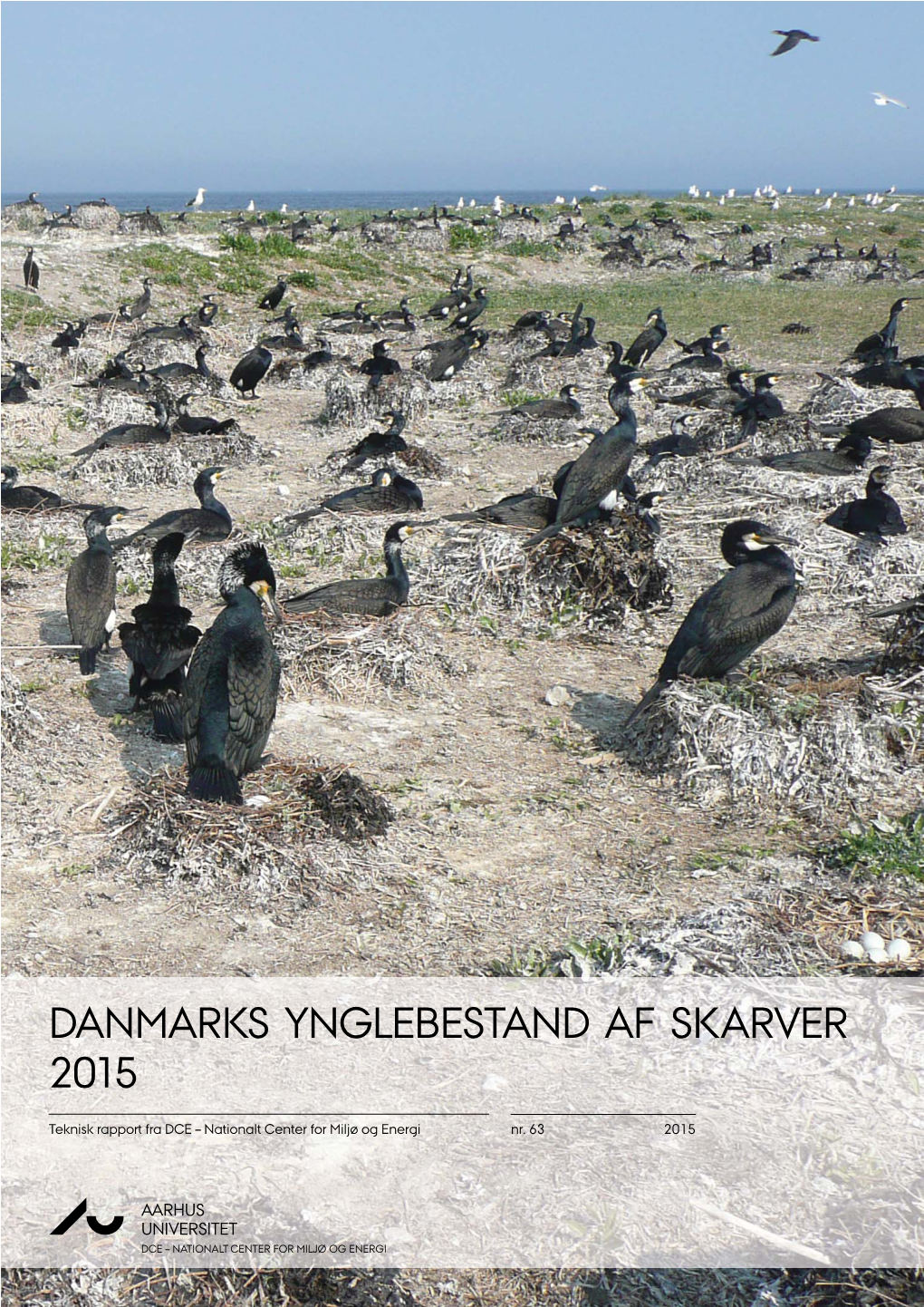 Danmarks Ynglebestand Af Skarver 2015