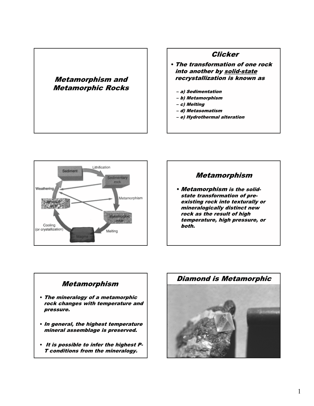 06Metamorphs.Pdf