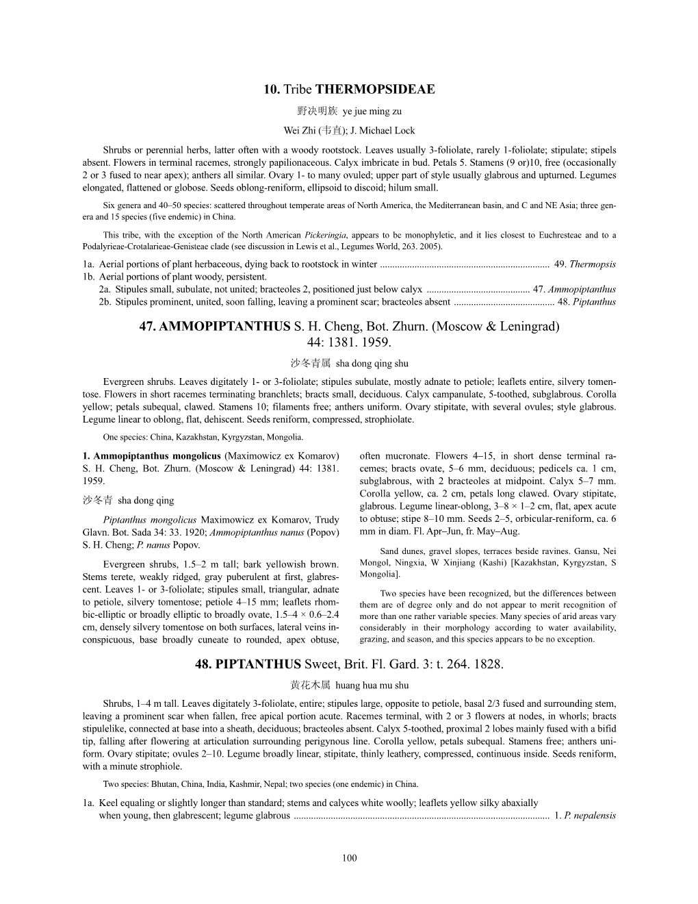 10. Tribe THERMOPSIDEAE 47. AMMOPIPTANTHUS S. H. Cheng