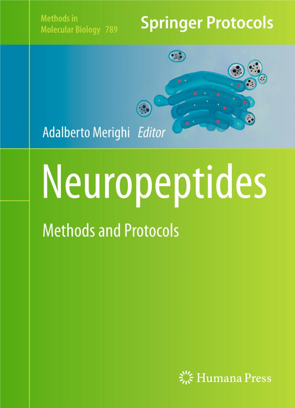 Sized Neuropeptides