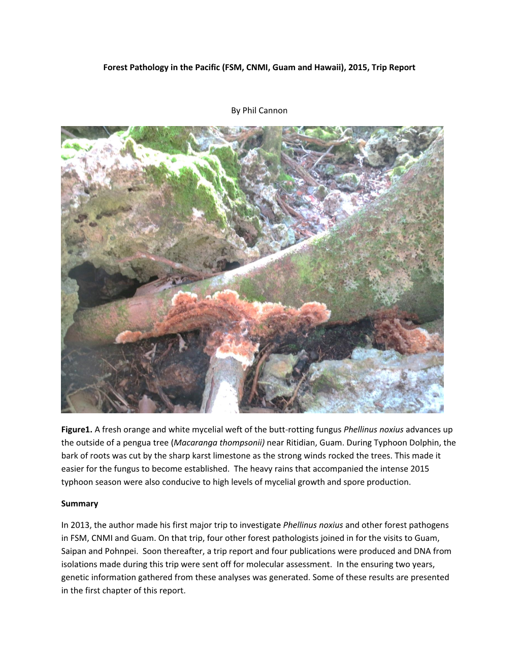 Forest Pathology in the Pacific (FSM, CNMI, Guam and Hawaii), 2015, Trip Report