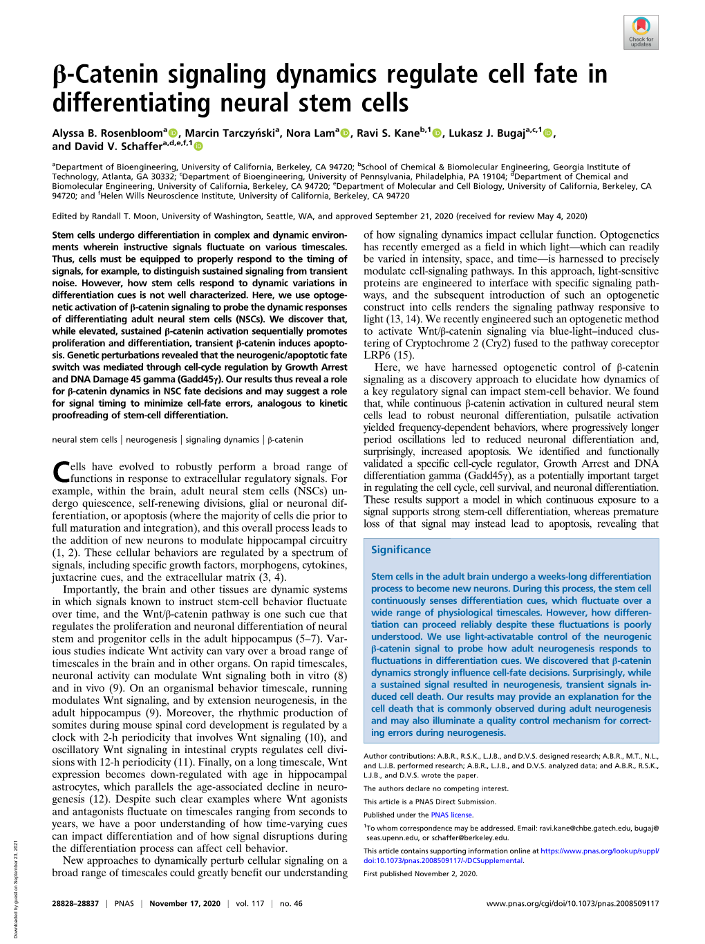 Β-Catenin Signaling Dynamics Regulate Cell Fate in Differentiating Neural Stem Cells