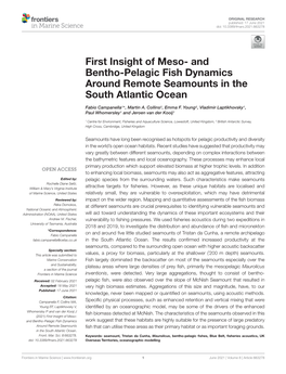 And Bentho-Pelagic Fish Dynamics Around Remote Seamounts in the South Atlantic Ocean