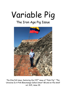 The Iron Age Pig Issue
