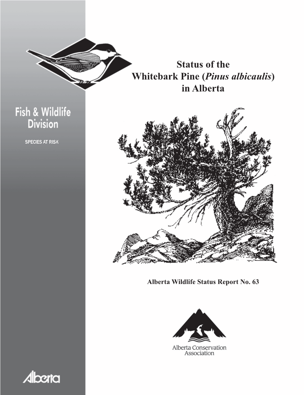 Status of the Whitebark Pine (Pinus Albicaulis) in Alberta