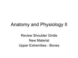 Anatomy and Physiology II