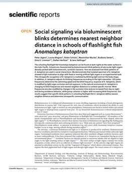 Social Signaling Via Bioluminescent Blinks Determines Nearest Neighbor