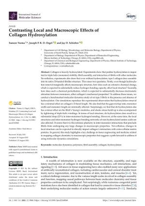 Contrasting Local and Macroscopic Effects of Collagen Hydroxylation