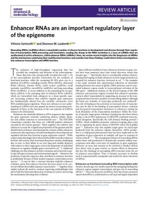 Enhancer Rnas Are an Important Regulatory Layer of the Epigenome