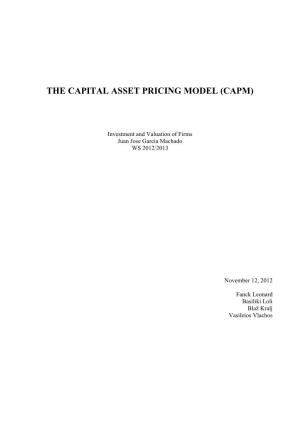 The Capital Asset Pricing Model (Capm)