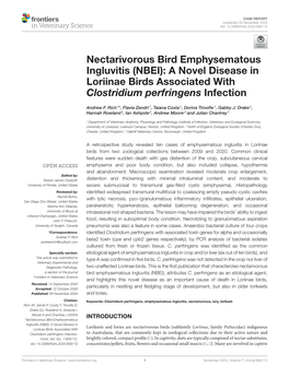 Nectarivorous Bird Emphysematous Ingluvitis (NBEI): a Novel Disease in Loriinae Birds Associated with Clostridium Perfringens Infection