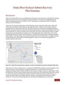 Snake River Sockeye Salmon Recovery Plan Summary