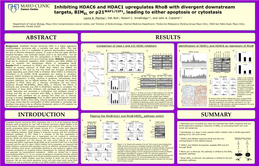 Inhibiting HDAC6 and HDAC1 Upregulates Rhob with Divergent Downstream WAF1/CIP1 Targets, BIMEL Or P21 , Leading to Either Apoptosis Or Cytostasis Laura A