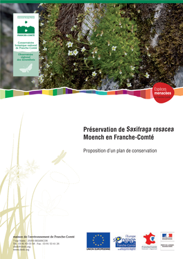 Préservation De Saxifraga Rosacea Moench En Franche-Comté