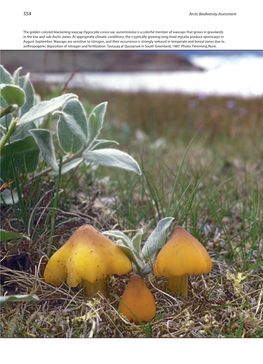 Arctic Biodiversity Assessment