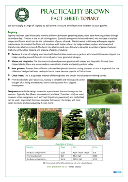 Choose Specimen Topiary