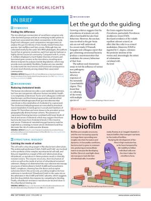 How to Build a Biofilm