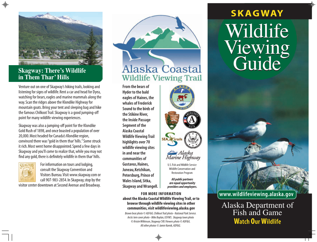 Skagway Wildlife Viewing Guide
