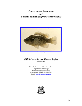 Bantam Sunfish (Lepomis Symmetricus)