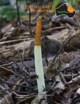 Queensland's Stinkhorns