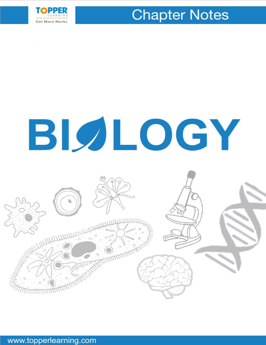 Amoeba, Paramoecium, Euglena and Diatom