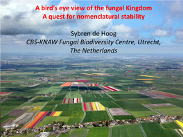 A Bird's Eye View of the Fungal Kingdom a Quest for Nomenclatural