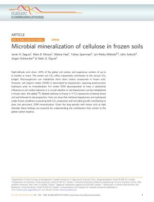 Microbial Mineralization of Cellulose in Frozen Soils