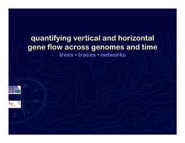 Quantifying Vertical and Horizontal Gene Flow Across Genomes and Time