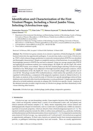Identification and Characterization of the First Virulent Phages, Including