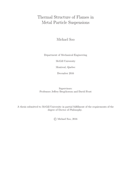 Thermal Structure of Flames in Metal Particle Suspensions