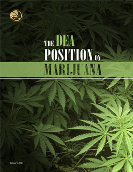 DEA Marijuana Position