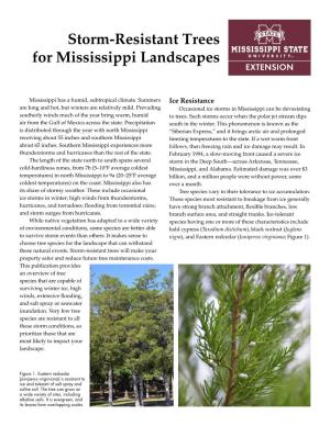 Storm-Resistant Trees for Mississippi Landscapes