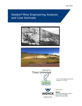 Waldorf Mine Engineering Analysis and Cost Estimate