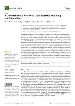 A Comprehensive Review of Cholinesterase Modeling and Simulation