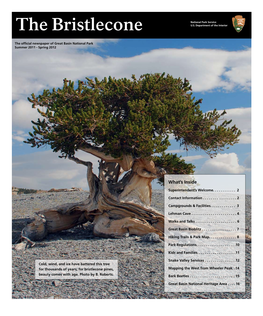 The Bristlecone U.S