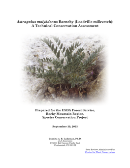 Astragalus Molybdenus Barneby (Leadville Milkvetch): a Technical Conservation Assessment