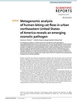 Metagenomic Analysis of Human-Biting Cat Fleas in Urban