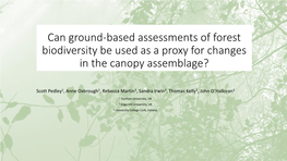 Can Equitably Mixed Plantation Forests Support an Arthropod Fauna