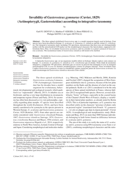 Invalidity of Gasterosteus Gymnurus (Cuvier, 1829) (Actinopterygii, Gasterosteidae) According to Integrative Taxonomy