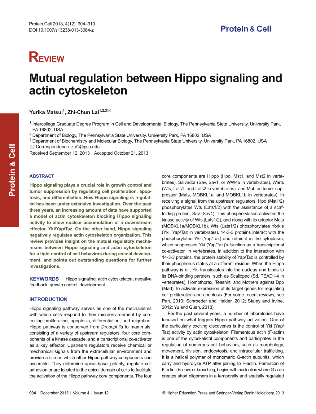 Mutual Regulation Between Hippo Signaling and Actin Cytoskeleton