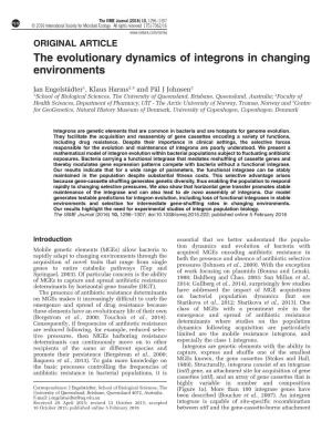 The Evolutionary Dynamics of Integrons in Changing Environments