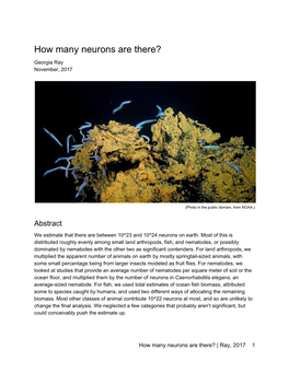 How Many Neurons Are There?